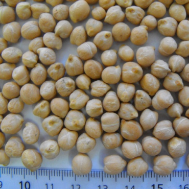 chick-peas